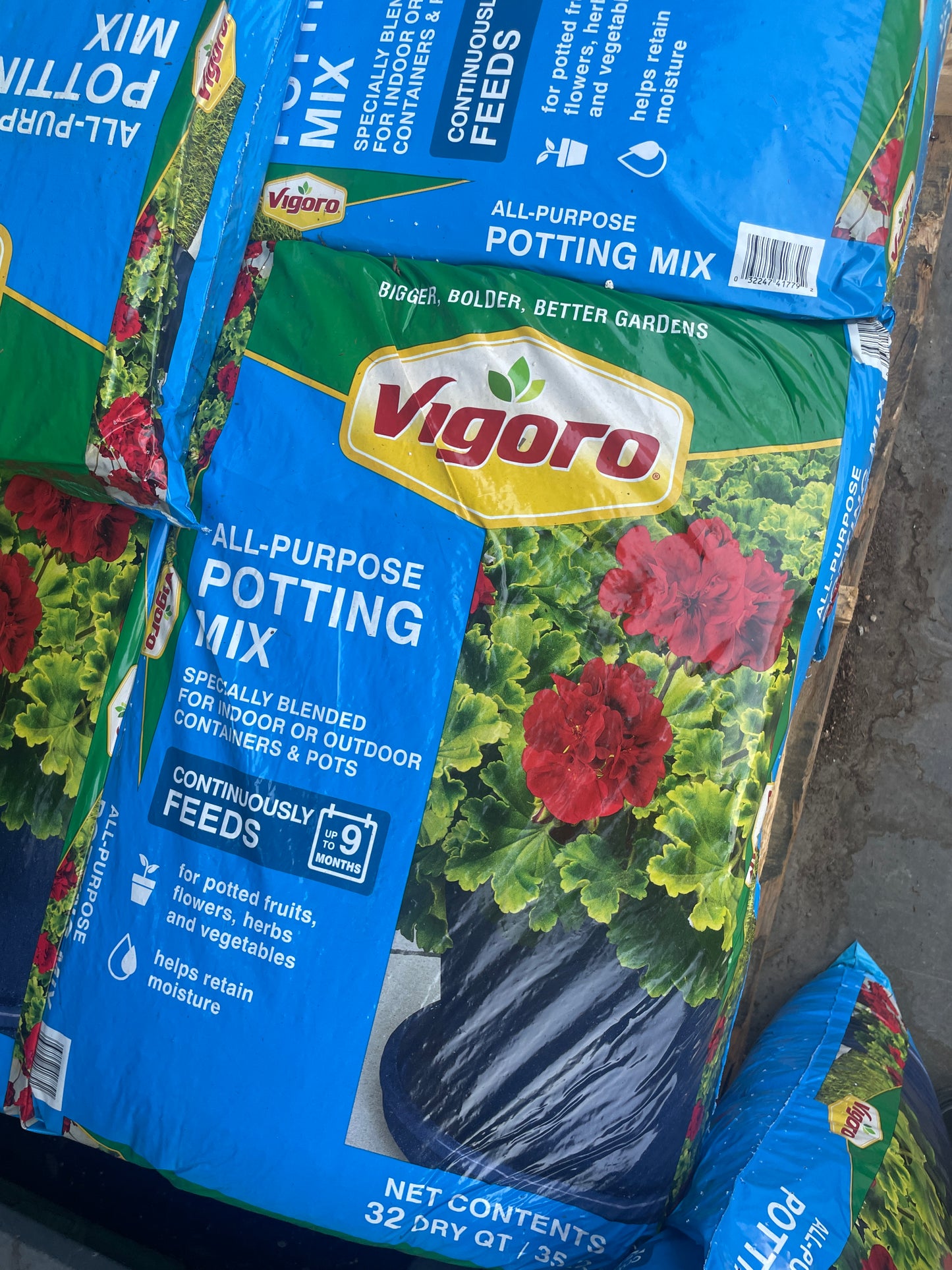 Scout Kit - 8" Planter - Zone 10 for September