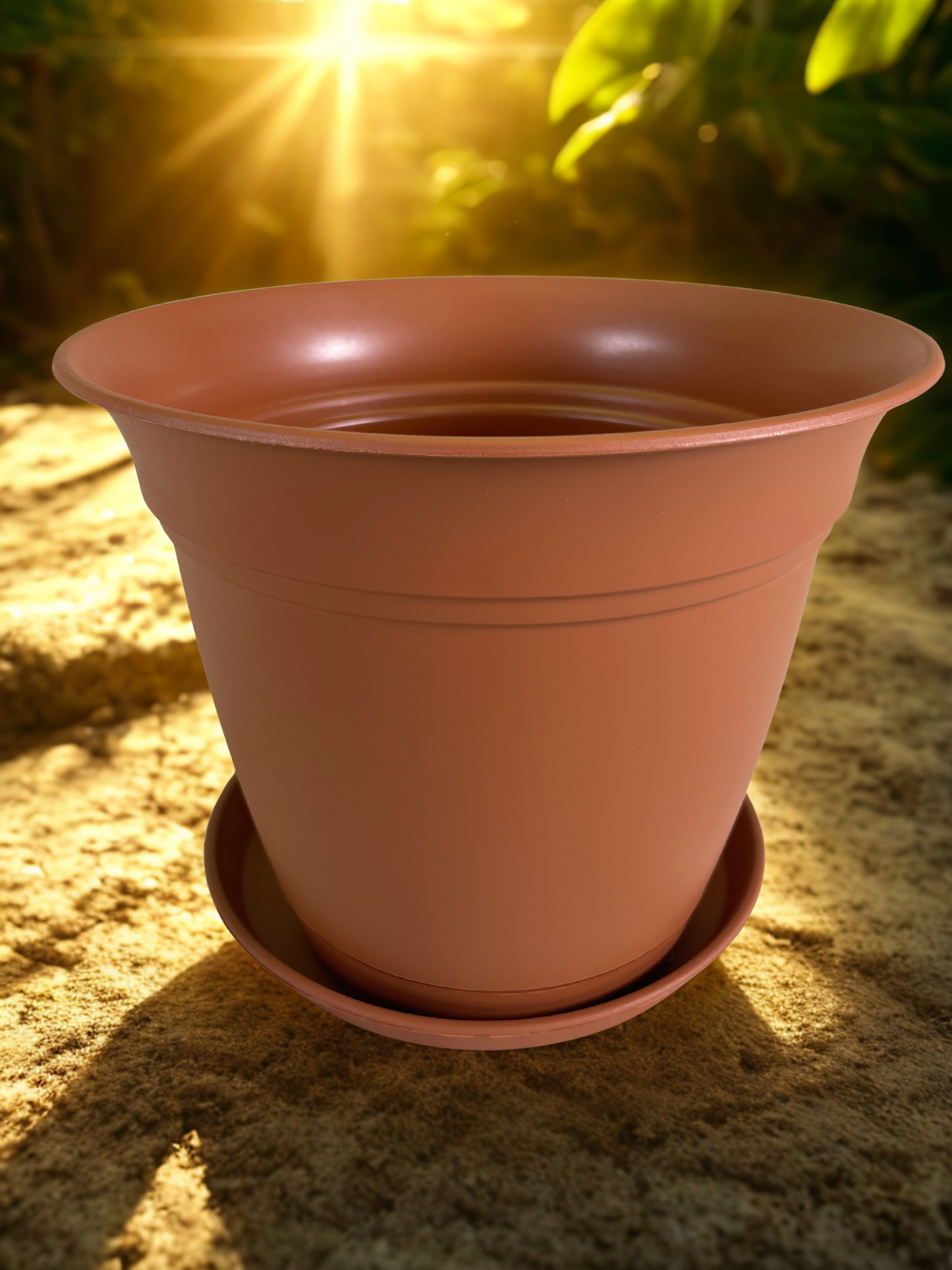 Scout Kit - 8" Planter - Zone 10 for September